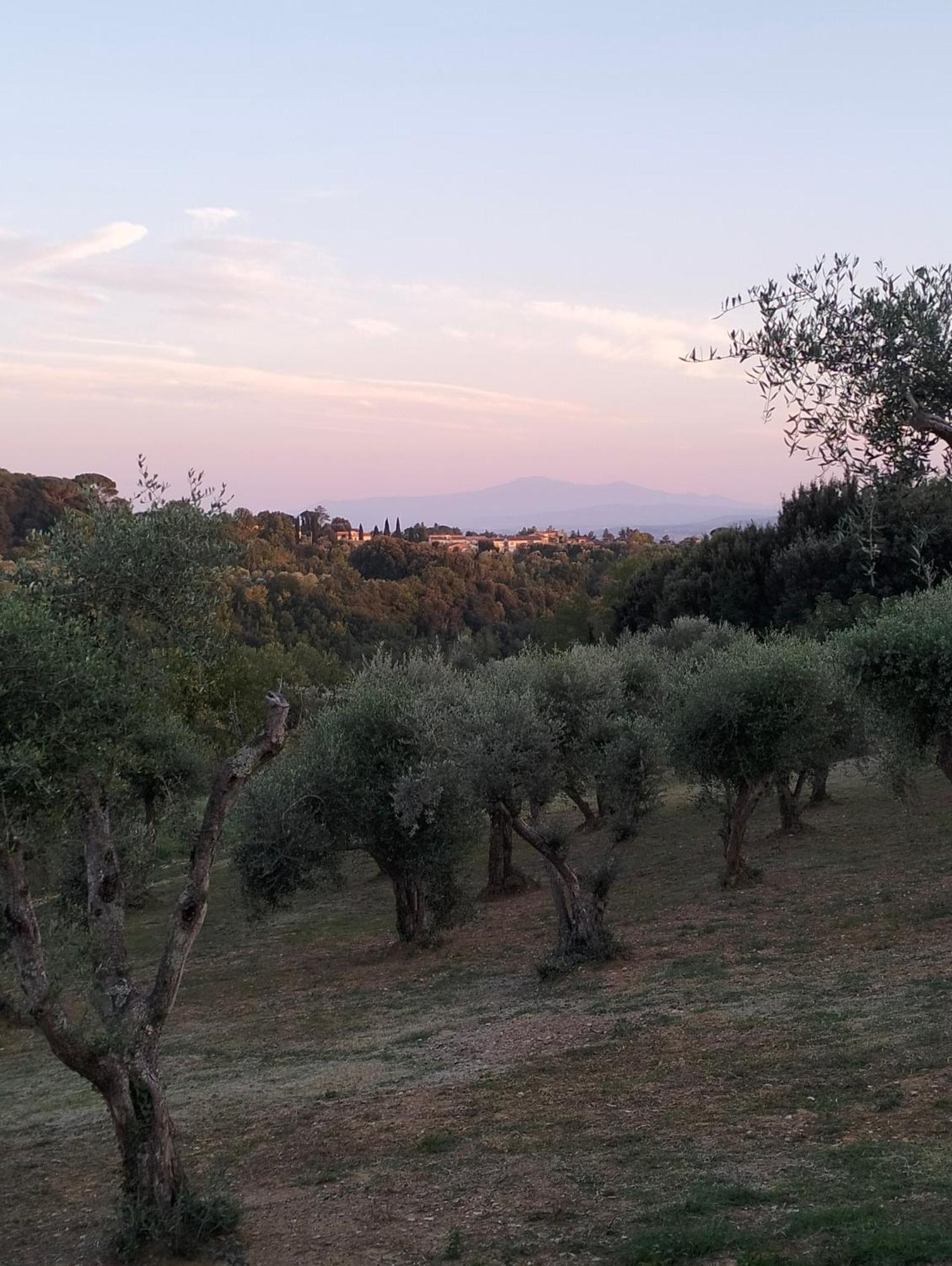 Ferienwohnung Agli Olivi Di Marciano Siena Exterior foto