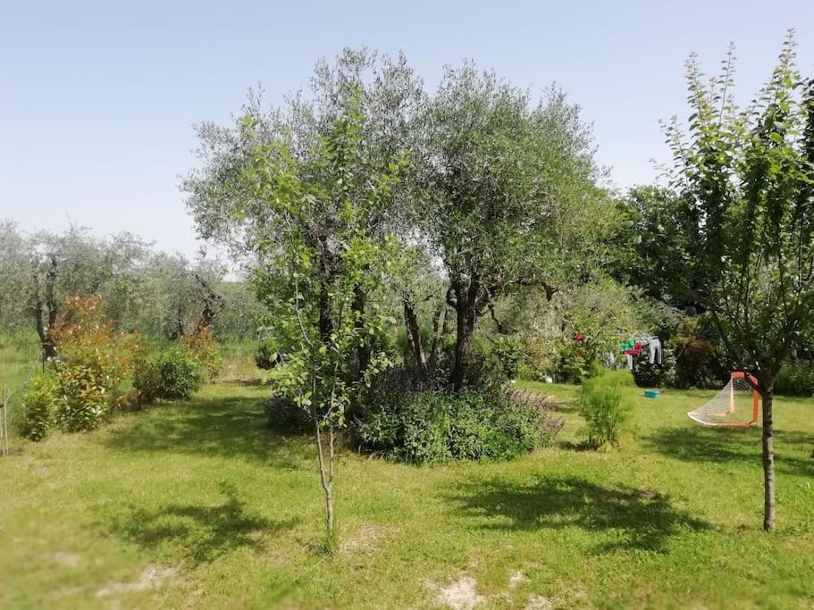 Ferienwohnung Agli Olivi Di Marciano Siena Exterior foto