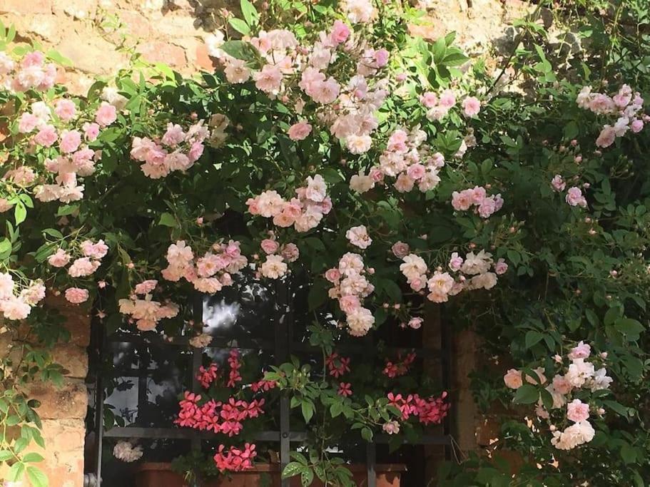 Ferienwohnung Agli Olivi Di Marciano Siena Exterior foto